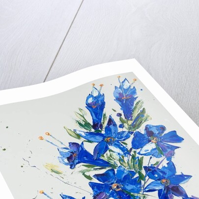 Flower, 2007 by Penny Warden