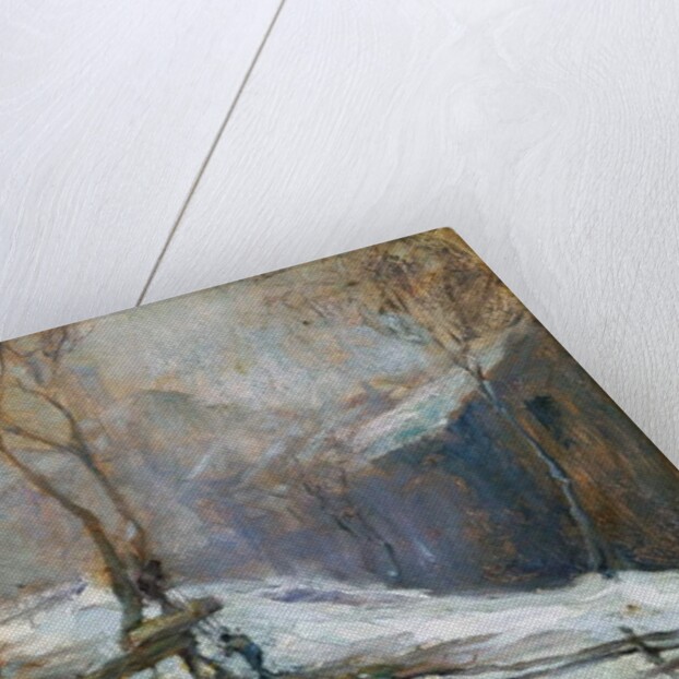 Snow, 1910 by Lidio Ajmone