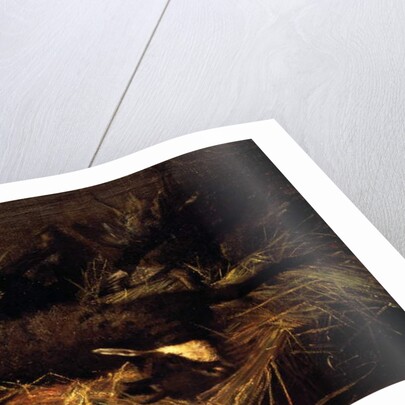 Dead chamois, 1882, by Giovanni Segantini by Giovanni Segantini