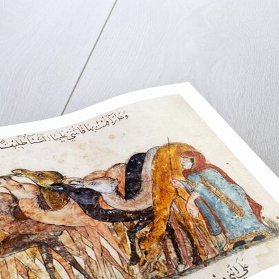 Ms Ar 5847 f.101, Herd of camels by Yahya ibn Mahmud Al-Wasiti