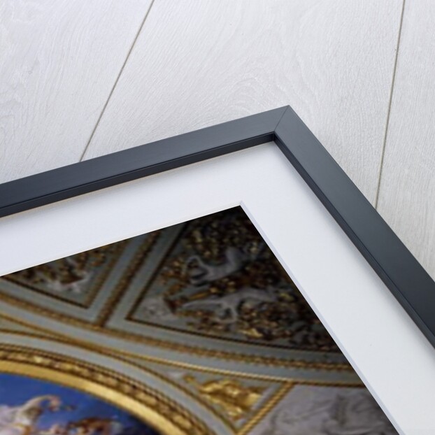 Olympus, Iliad Room, Palazzo Pitti by Luigi Sabatelli