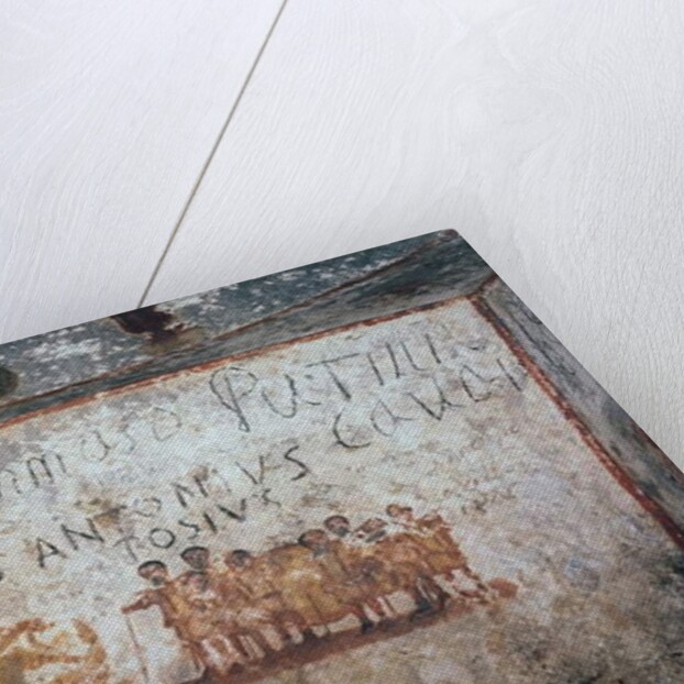 The Coopers, Cubiculum of the Bottai by Roman