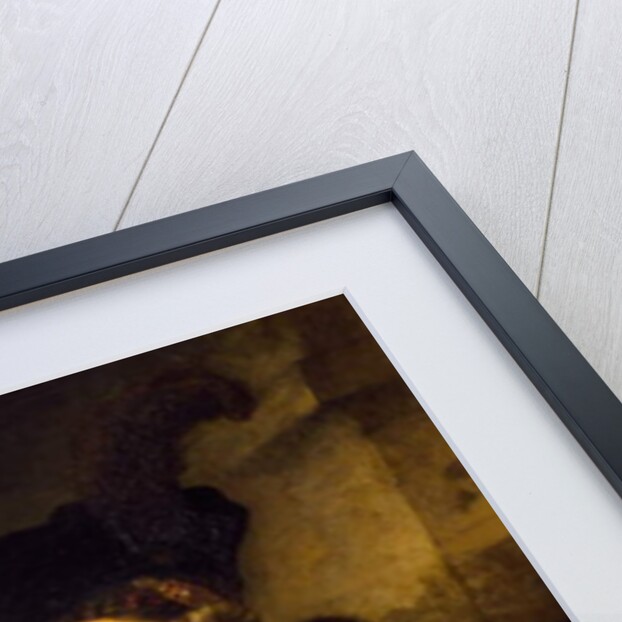 Portrait of an Old Man, 1645 by Rembrandt Harmensz. van Rijn