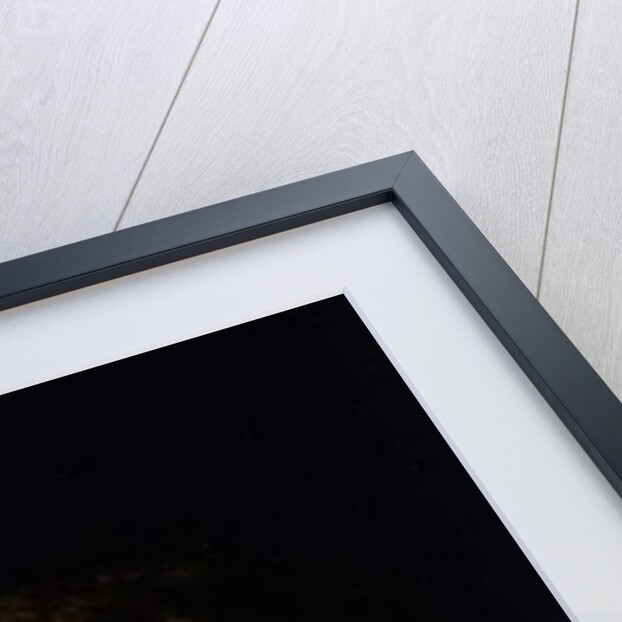 Self portrait, detail, c.1638 by Peter Paul Rubens