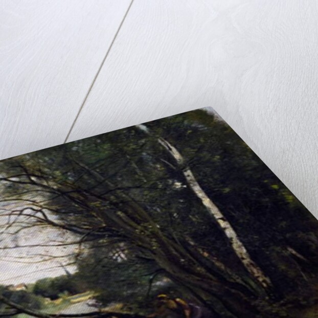 Lake with the leaning tree trunk, 1860-1865 by Jean Baptiste Camille Corot