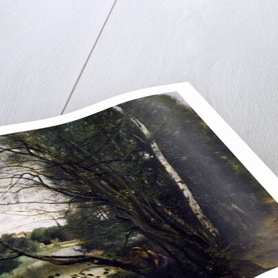 Lake with the leaning tree trunk, 1860-1865 by Jean Baptiste Camille Corot