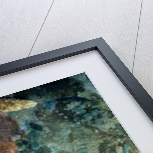 Saint Paul, 1474 by Luca Signorelli