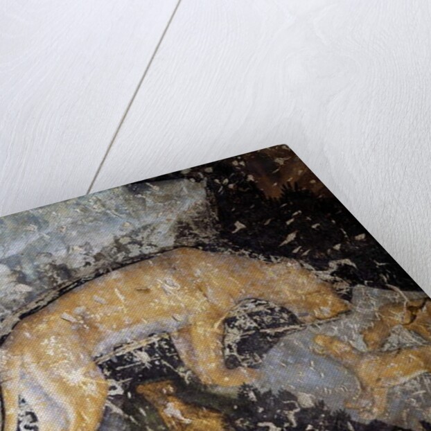 Dog, detail by Antonio Pisanello