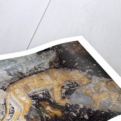 Dog, detail by Antonio Pisanello