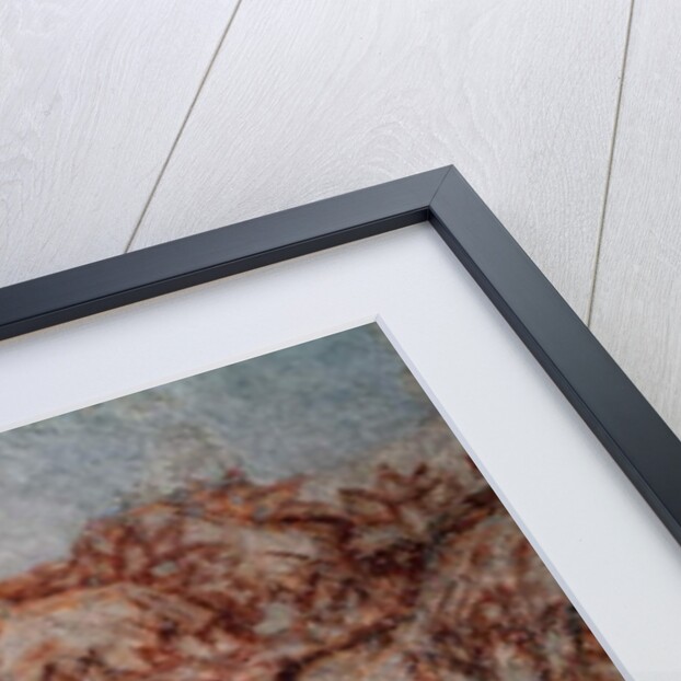 Sinopia, detail by Antonio Pisanello