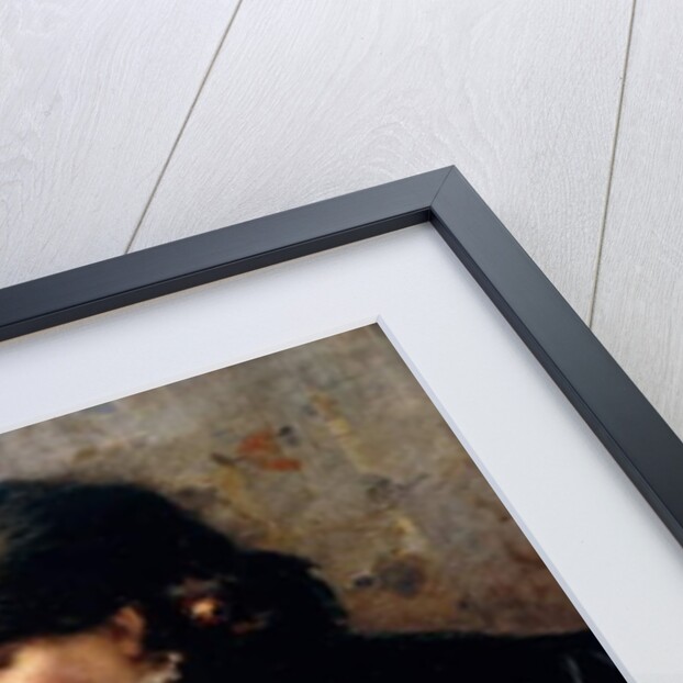 Lovers, 1882 by Virgilio Ripari