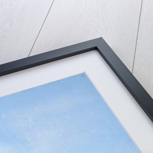 Isle of Capri by Italian School