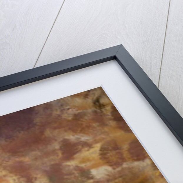 Nuanced on the contour by Tranquillo Cremona