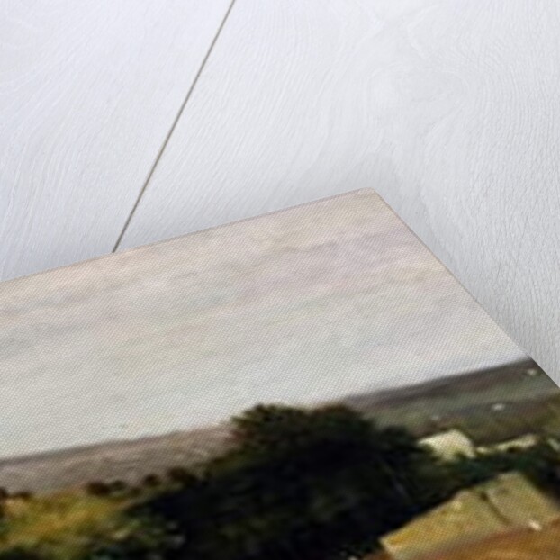 Surroundings of Vesuvius, 1875 by Federico Rossano