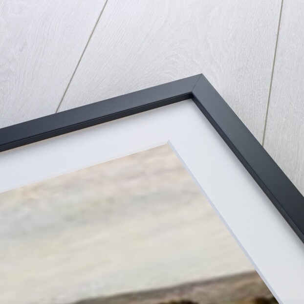 Surroundings of Vesuvius, 1875 by Federico Rossano