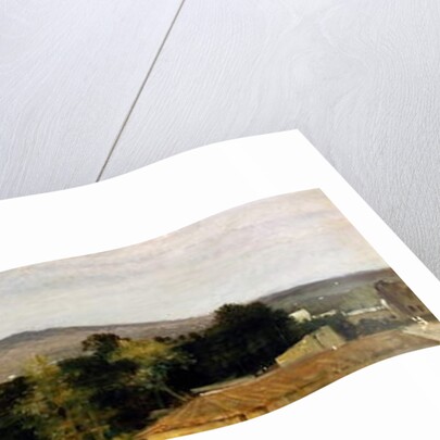 Surroundings of Vesuvius, 1875 by Federico Rossano