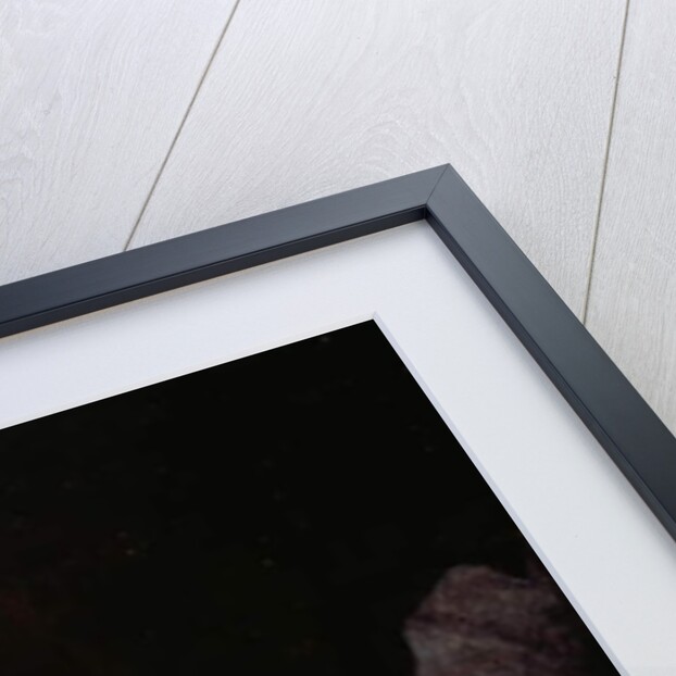 The Blue Grotto, 1825 by François Vervloet