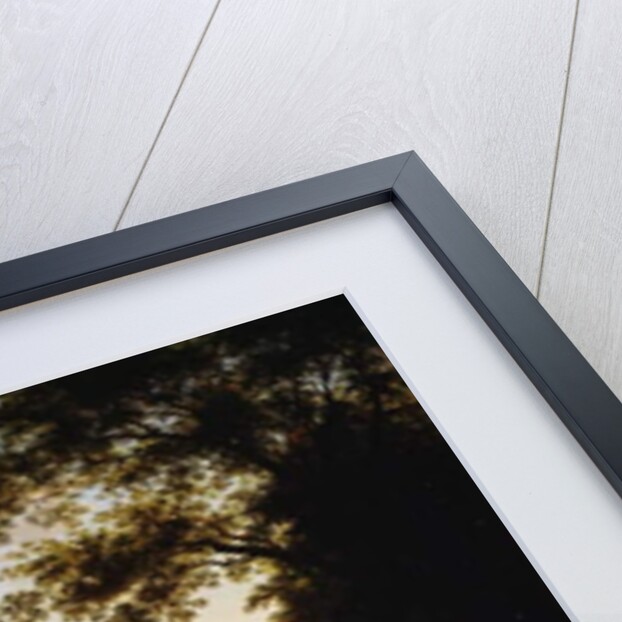 Landscape with waterfall by Antonio Marinoni