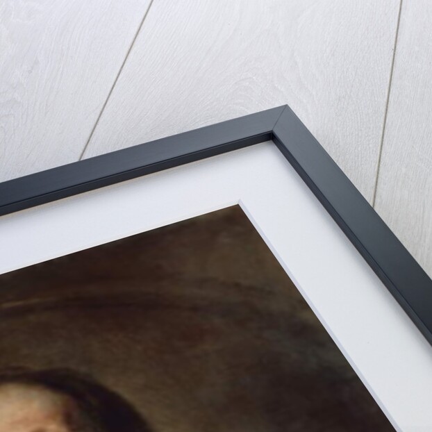 Portrait of German writer Paul Johann Ludwig von Heyse, by German School