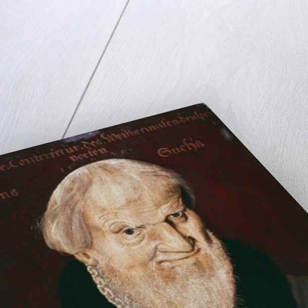 Portrait of Hans Sachs by German School