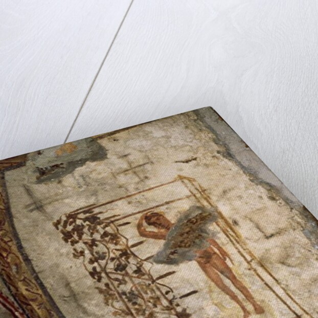 Youth, trellis and vines, 3rd-5th century AD by Roman Roman