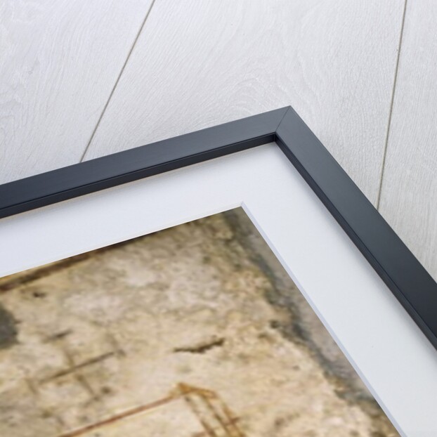 Youth, trellis and vines, 3rd-5th century AD by Roman Roman