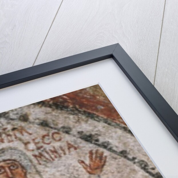 The deceased Cominia by Roman Roman