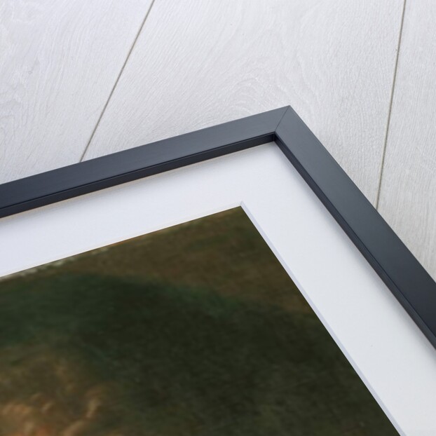 Portrait of Robert Boyle by Johannes (after) Kerseboom