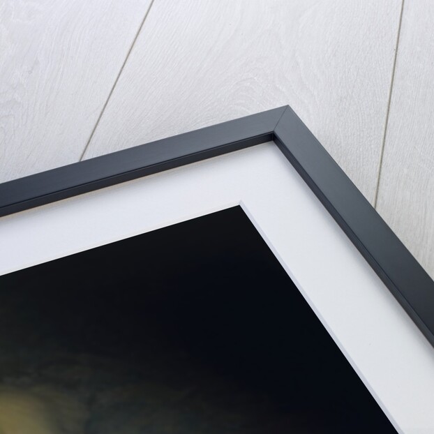 Dying Goethe, 1880 by Angelo Morbelli