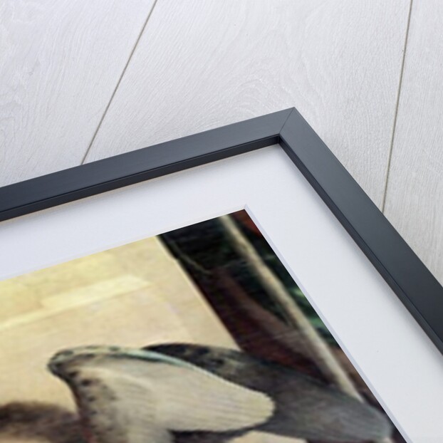 San Bernardino Altarpiece, 1521 by Lorenzo Lotto