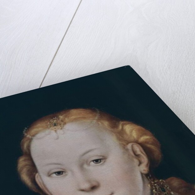 Venus by Lucas the Elder Cranach