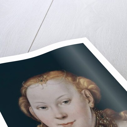 Venus by Lucas the Elder Cranach