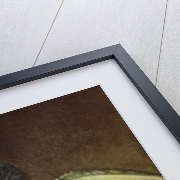 Still life with vegetables, 1739-40 by Francois Jouvenet