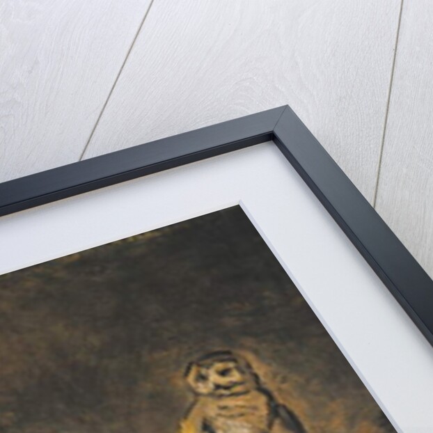 Malle Babbe, 1633-1635 by Frans Hals