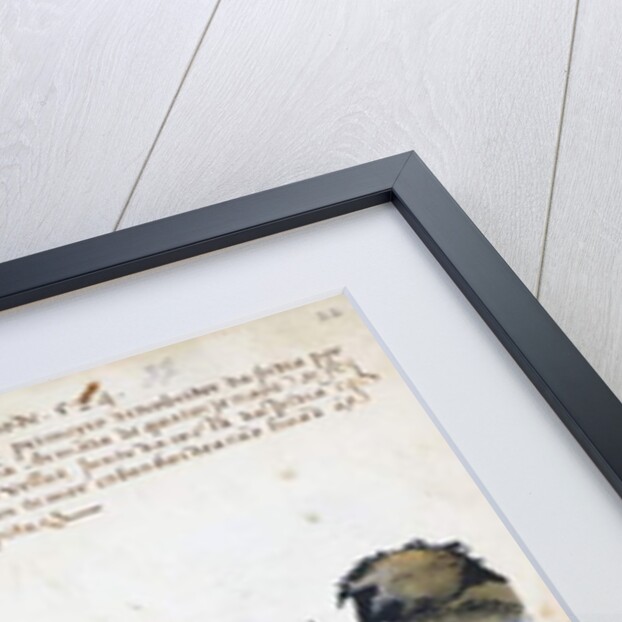 Voyages of Vasco da Gama, the Portuguese expedition, 1524 by Portuguese School