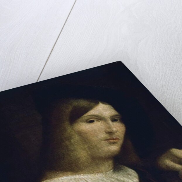 Portrait of a Young Man with a Rose, 1516 by Francesco (1482/3-1562) Torbido