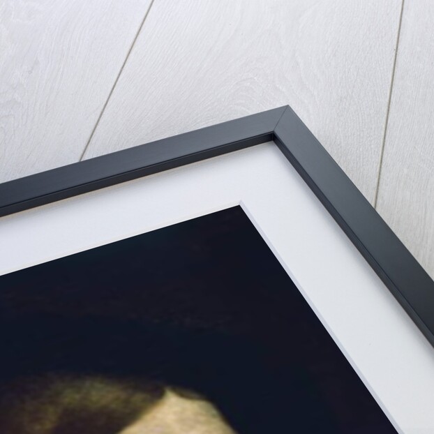 Portrait of a Young Man with a Rose, 1516 by Francesco (1482/3-1562) Torbido