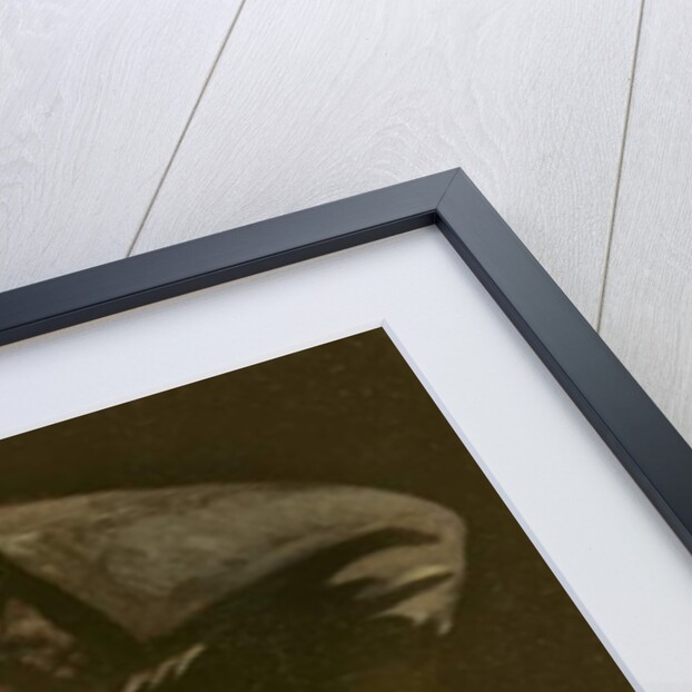 Self-portrait, 1747-1748 by Joshua Reynolds