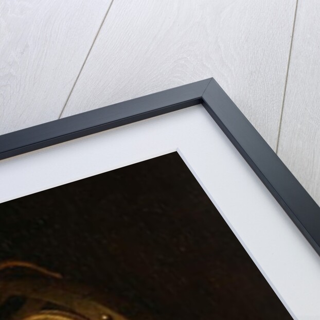 Detail of the Portrait of Alof de Wignacourt with his page, 1608 by Michelangelo Merisi da Caravaggio