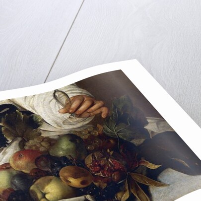 The Young Bacchus, c.1596 by Michelangelo Merisi da Caravaggio