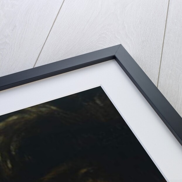 Faces of two men by Michelangelo Merisi da Caravaggio