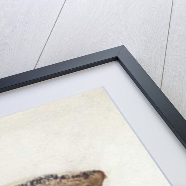 Two women dock workers at Genoa port, c.1890 by L. Allavena