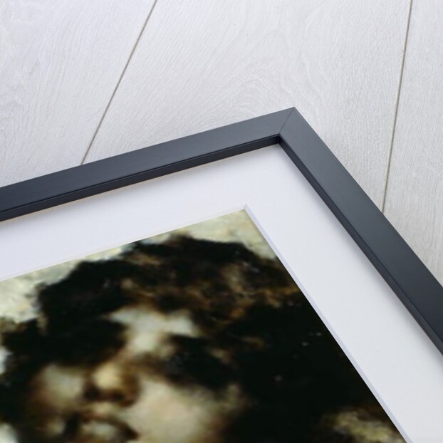 Portrait of a Woman by Luigi Conconi