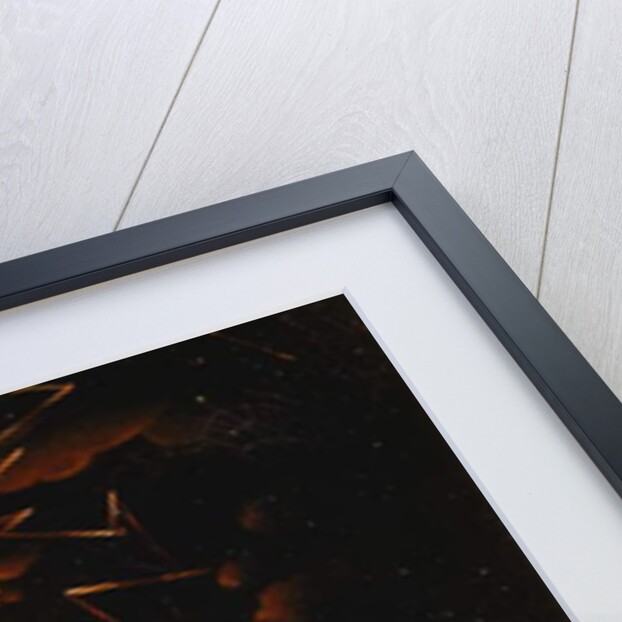 King Ferdinand Island, circa 1831 by Salvatore Fergola