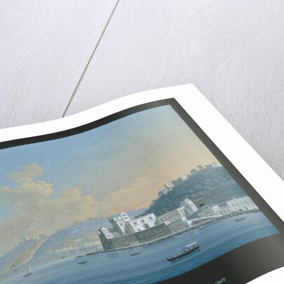 View of Mergellina by Alessandro d' Anna