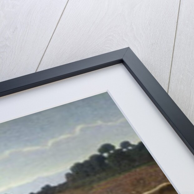 The mirror of life, 1895-98 by Giuseppe Pellizza da Volpedo