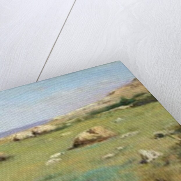 Cliff at Castiglioncello by Raffaello Sernesi