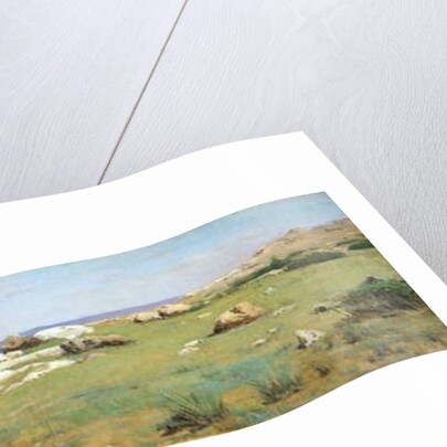 Cliff at Castiglioncello by Raffaello Sernesi