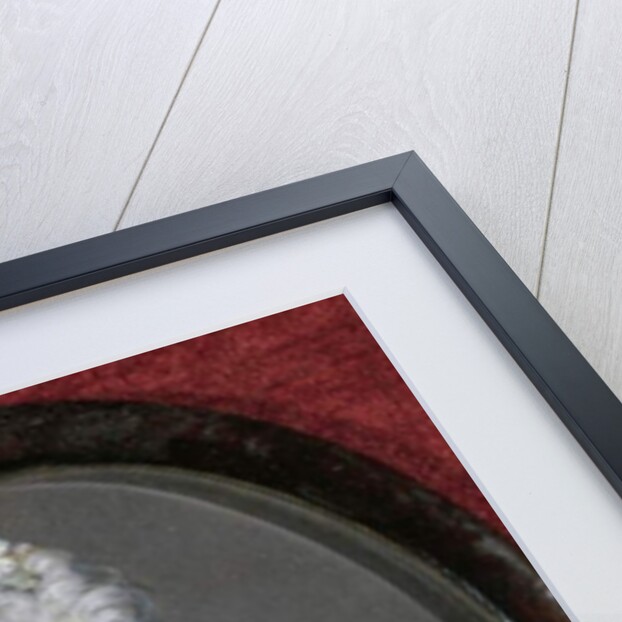 Portrait of lady by Rosalba Giovanna Carriera