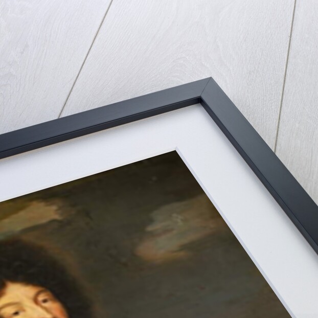 Portrait of Louis XIV of France by Hyacinthe Francois Rigaud